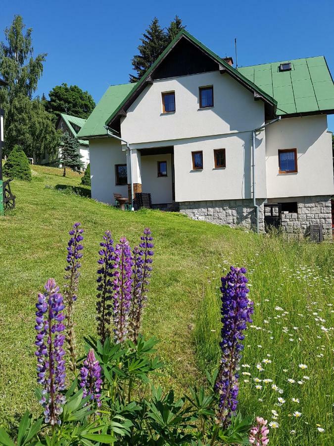 U Kobru Apartamento Špindlerŭv Mlýn Exterior foto